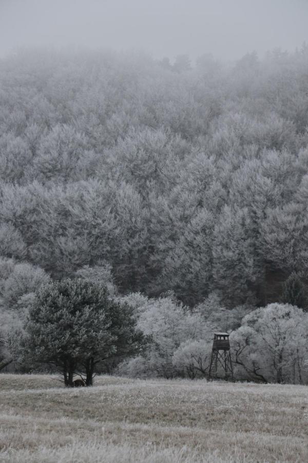 Szczerbanowka Na Maniowie Maniow  Buitenkant foto